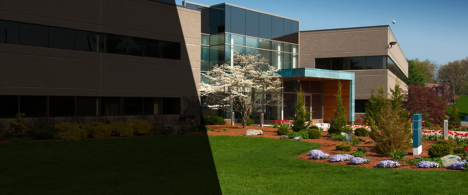 Plymouth Meeting Landscapers