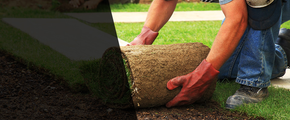 Plymouth Meeting Landscapers